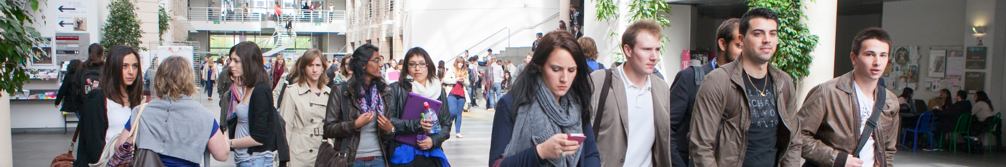 Liste des membres du Conseil participatif de la Faculté de droit